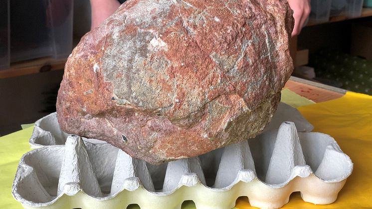 Dinosaurieägg