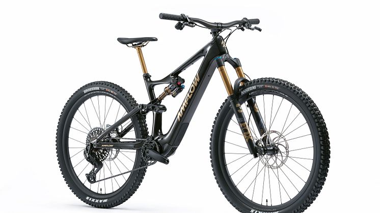 Amflow PL Carbon Pro bike 2.jpg