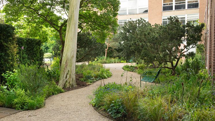 M20240320_006_CAH garden_SJ4_2758.JPG