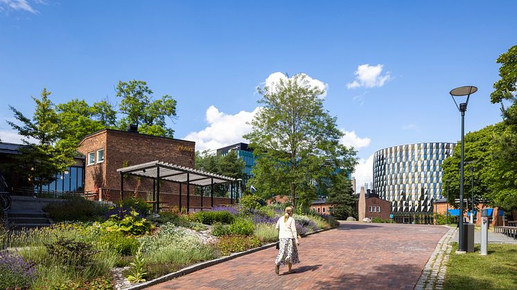 Campus Solna