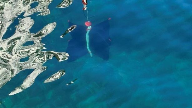 Drifter i Sundklakkstraumen. 