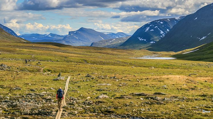 Kungsleden