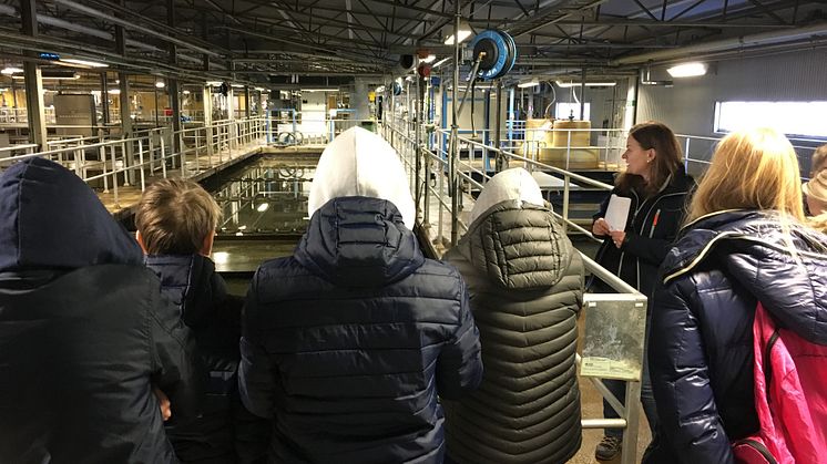 Bregårdsskolan 8D på besök. Jessica Carlsén håller i visningen.