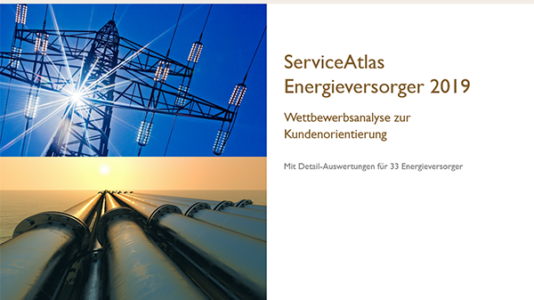Diese Energieversorger schaffen Kundenorientierung