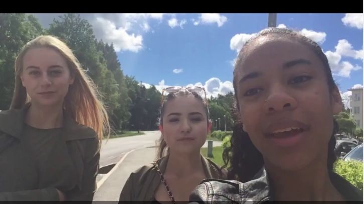 Vloggarna