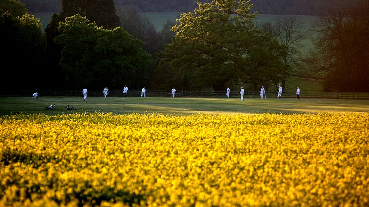 UK Government gives green light for recreational cricket to return