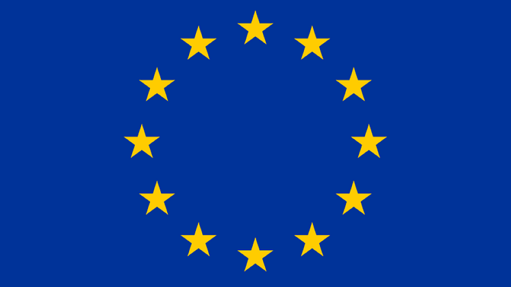 europeiska-flaggan rätt