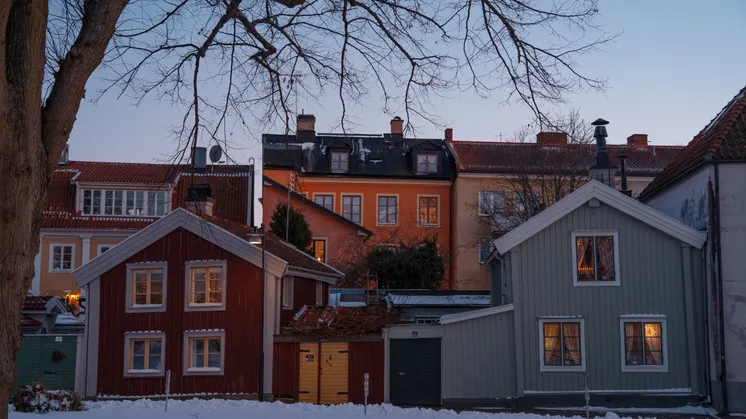 Trähus med snätäckta tak