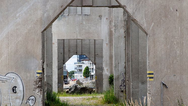 Silor i Limhamn