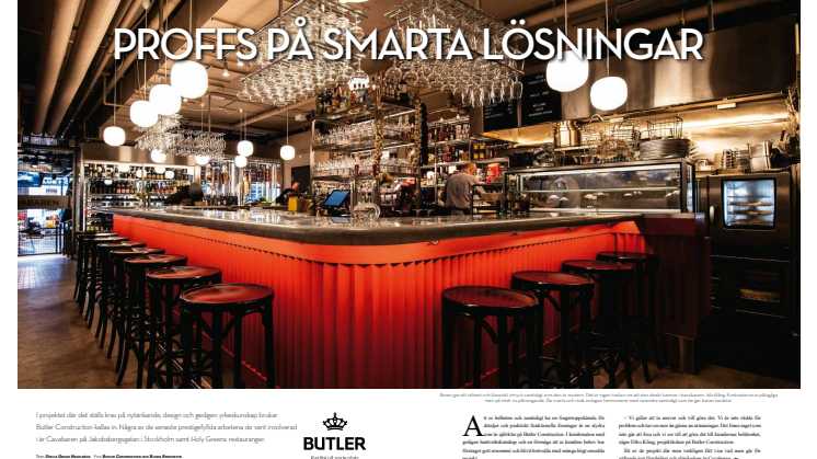 Artikel i Modern Interiör