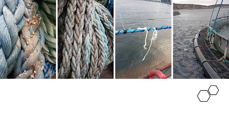 Tauverk er en viktig kilde til plastforsøpling fra oppdrettsnæringen (Foto: Ragnhild Pettersen/Akvaplan-niva)