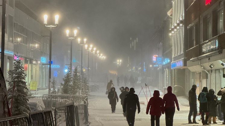 Classic arctic winter weather in Tromsø during the kick off meetings (Photo: Kanchana Bandara/Akvaplan-niva):