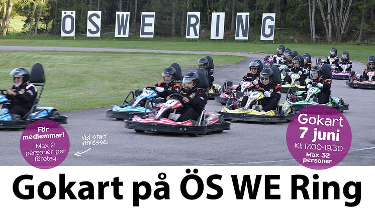 Gokart på ÖS WE Ring