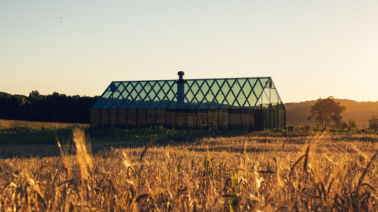 RestaurangANG_Astadvingard_Varberg_Halland3