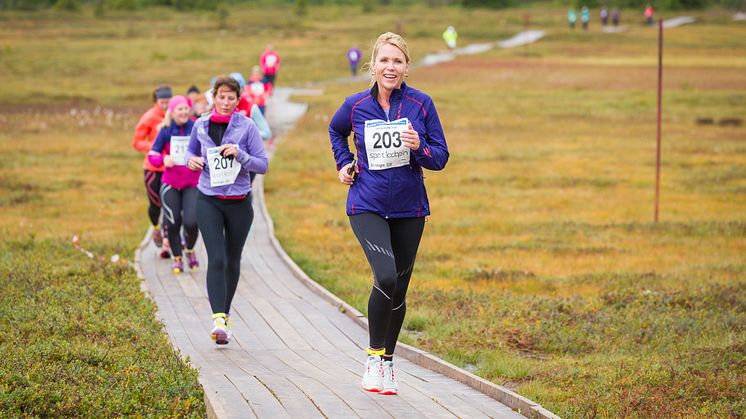 Rekordmange ryper til Trysil