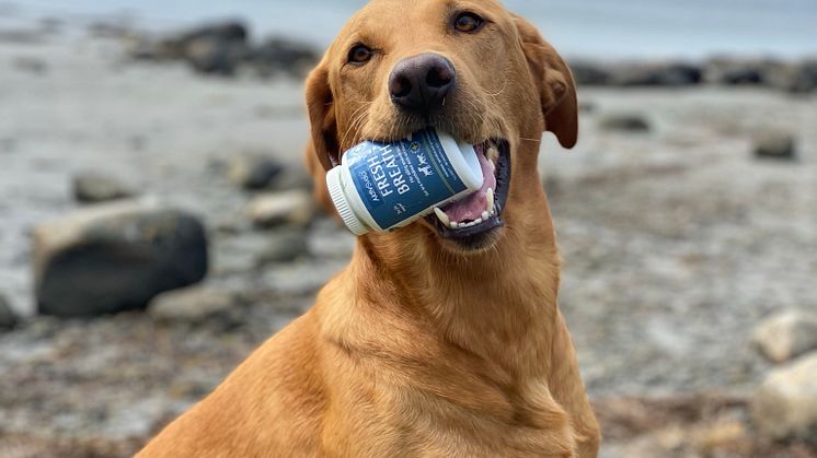 AktivSvea Fresh Breath