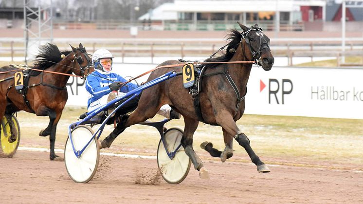 High On Pepper, målgång Mantorp 9 mars