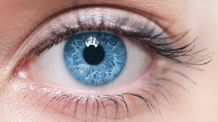 Auch eine osteopathische Studie zum Thema Makuladegeneration wird am 29.9. beim 8. Internationalen Forschungssymposium in Bad Nauheim vorgestellt. Macro image of human eye - Piotr Krzeslak - shutterstock.com