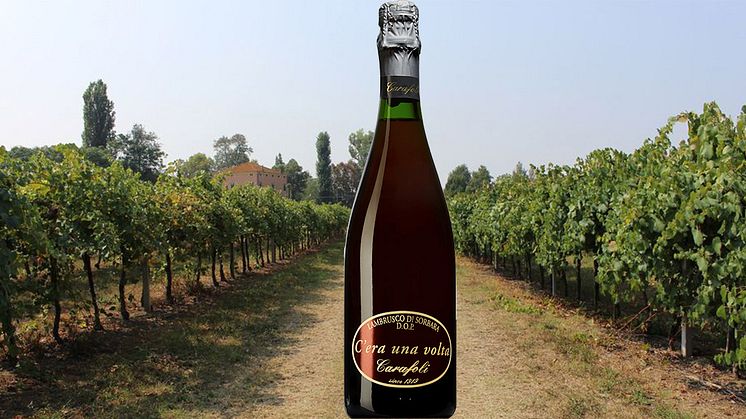 C'era una volta Lambrusco di Sorbara DOP 2021 ﻿﻿Lanseringsdatum: 10 juni 2022. Antal flaskor: 12.000 ﻿﻿Nr: 95124 · 750 ml · 11,5%· Pris: 139 kr.
