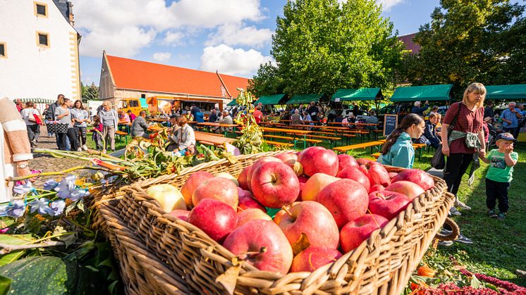 Bauernmarkt Leisnig - Kloster Buch