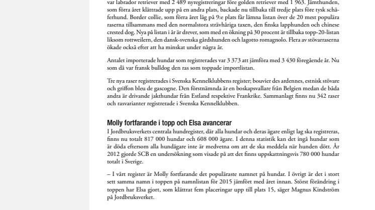 Labbe & Molly ohotade i topp
