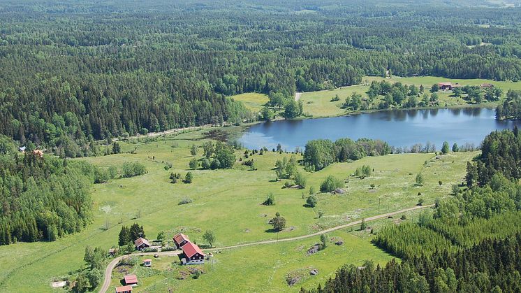 Biologisk mångfald hotad av 1900-talets landskapsförändringar 