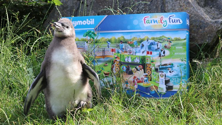 Tierischer Spaß im Zoo Osnabrück