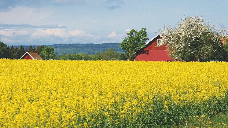 Fel att höja skatten på biodiesel
