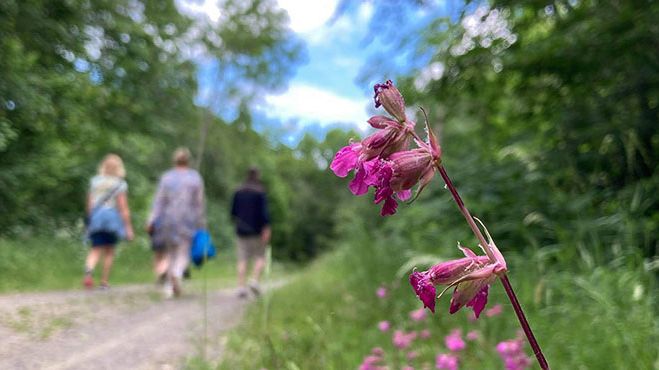 På vandring i Dunderbäcken.