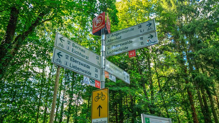 Erfolgskonzept: Knotenpunktradeln, wie hier im Barnim, wird immer beliebter (TMB-Fotoarchiv/Steffen Lehmann) 