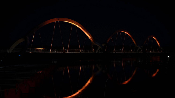 Orange Day 2024.png