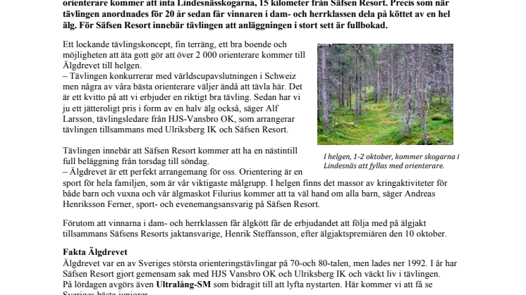 Älgdrevet lockar över 2 000 orienterare  till Säfsen – en älg i prispotten 