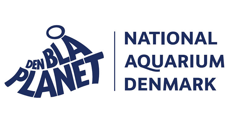 LOGO - kvadrat 
