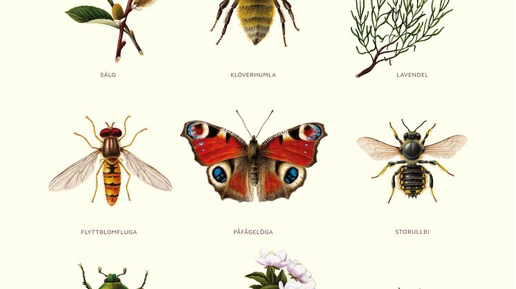 skylt insects 1000x1400 Plantagen small