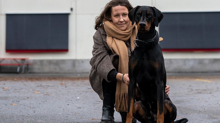 Årets bragdhund heter Devil