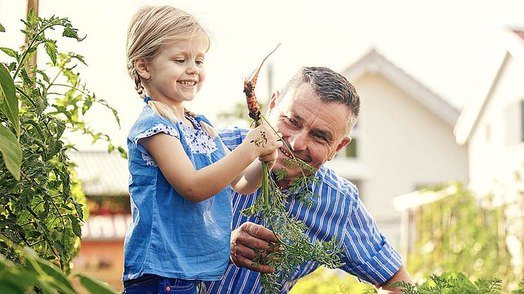 sommarmat_juni22_1280x650px