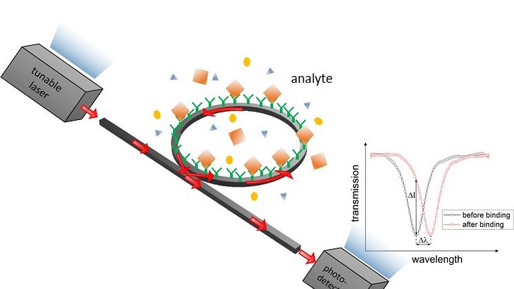 Opticla_Biosensot_THWildau