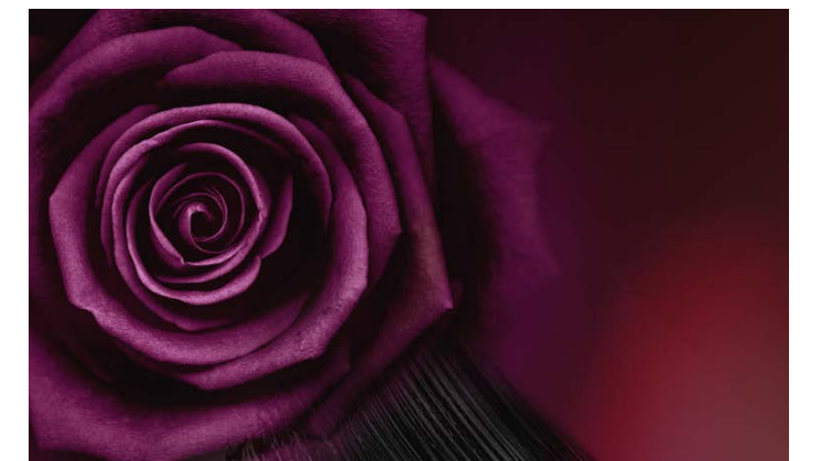 Pressinformation om Yves Rochers Vinter Makeup – Limited Edition 2015