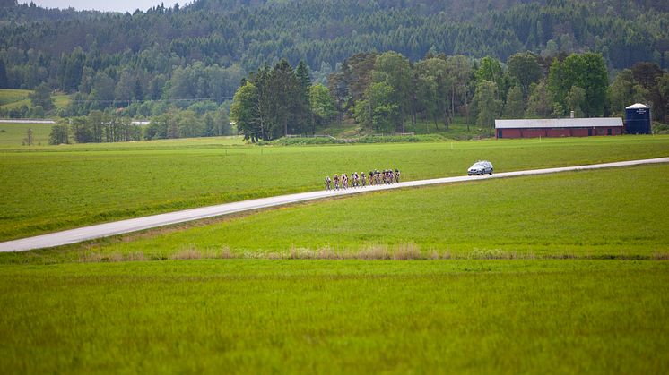 Abloc Camps
