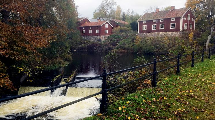Den historiska dammen vid Järle kvarn är en omstridd plats där natur- och kulturvärden ställs mot varandra. Foto: Helena Törnqvist.  