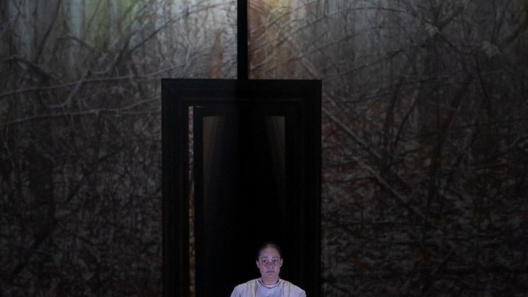 Framsyningsfoto, Lady Macbeth