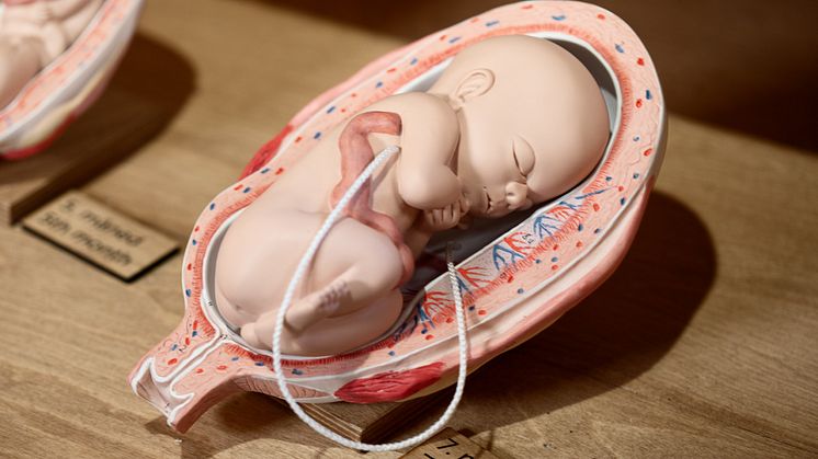 Liv og død-Håkon Bergseth-13.jpg