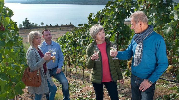 Zum Wohl! Im Lausitzer Seenland wachsen edle Tropfen. Foto: TV Lausitzer Seenland. 