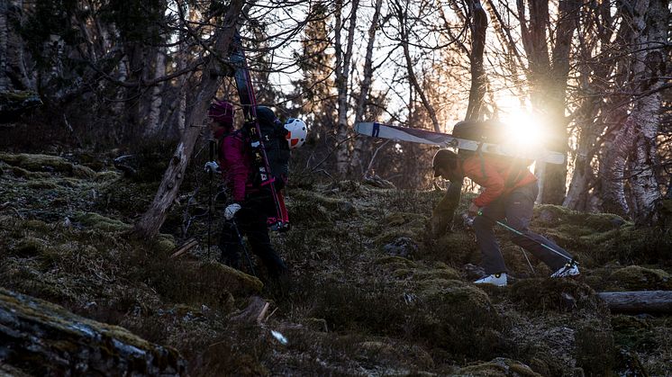 Alpene i vest - Sunnmørsalpene