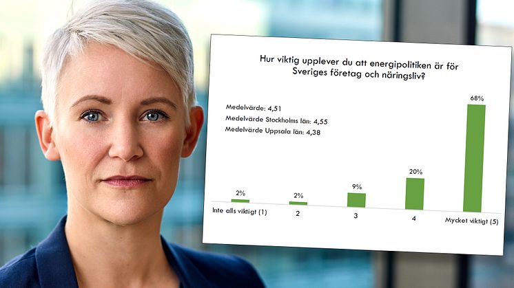 Undersökningens svar bifogas som PDF.
