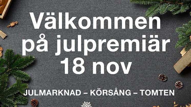 Brunnsbo Musikklasser och jultomten inviger Jul i Nordstan