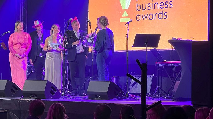 Piteå business awards