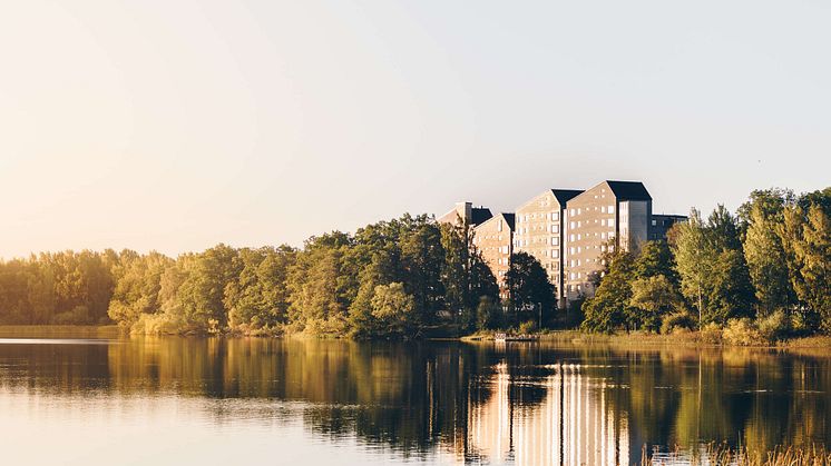 Vallen, Växjö. Fotograf: Jonas Ljungdahl