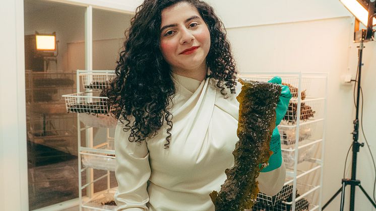 Janna Naser, Ung Företagsamhet-stipendiat 2024
