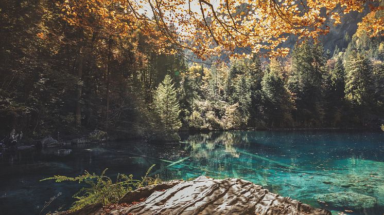 Berner Oberland: Blausee 